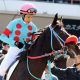 JRA 高松宮記念(G1)。グレナディアガーズ、サリオス、レシステンシアに共倒れの現実的理由。まさかの大波乱を演出する意外な“馬”とは!?