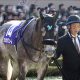 ロジユニヴァース世代以下!? 「最弱世代」“当確”4歳牡馬がグレード制導入後初の屈辱。5歳シーズン巻き返しのカギを握るのはアノ弟か