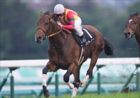 JRA安田記念（G1）「無視厳禁」フィアーノロマーノ「高速馬場大歓迎」でG1馬競演に一石！
