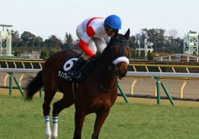 JRAクイーンS（G3）確信の4点で「穴馬券」狙い！ 関係者ゴリ押しの「超勝負馬」を紹介!!