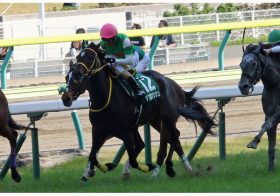 JRAヴィクトリアマイル（G1）「穴の中心」デンコウアンジュが柴田善臣とともに「もうひと花」咲かせる条件