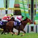 JRA川田将雅ダノンプレミアム「ゴール後下馬→異常なし」に”演出”の声!? 安田記念(G1)最下位の「裏側」と「次走」