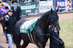 JRAニュージーランドT（G2）は「2点」でゲット？ 関係者情報から「切れる」人気馬は