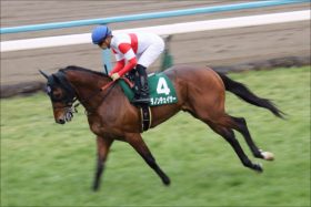 JRA「マツクニローテ」ダノンチェイサー挑戦！ キングリーとの「使い分け」明確な理由