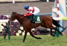 JRA日本ダービー（G1）ダノンチェイサー回避。まさかの戦線離脱に衝撃