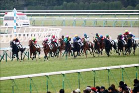 JRAきさらぎ賞（G3）は1勝馬同士の対戦に!　早熟血統ストーンリッジに注目せよ！！