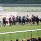 【武蔵野S(G3)展望】「上がり馬」エアアルマスVS「実績上位」サンライズノヴァ! チャンピオンズCを狙う実力馬がそろった1戦を制するのは誰だ