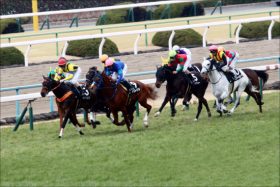 JRA噂の「ディープインパクト2世」アルジャンナがついにデビュー！「スピードも切れもあるし、いかにも走りそう」その走り、すでに重賞級