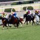 JRA戸崎圭太「覚醒」府中で躍動、サンライズノヴァにも期待? スタートダッシュ失敗も……
