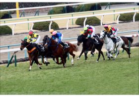 JRA武豊期待の「超大物」シュリが登場！「有望株」団野大成＆岩田望来は飛躍のきっかけ作れるか【京都金杯（G3）展望】