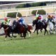 武豊マイラプソディ京都2歳S(G3)圧勝で「凱旋門賞」挑戦プラン!? デビュー3連勝「来年、エネイブルと戦うかも」