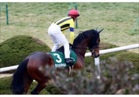 JRAヴァンドギャルド勝率わずか「2.3%」の絶望!? 東京新聞杯（G3）「ディープ×サドラーの法則」発動ならドバイターフ（G1）挑戦は「夢のまた夢」