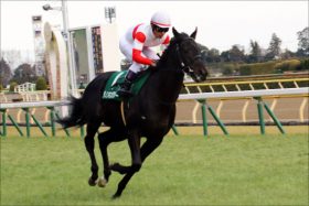 JRA戸崎圭太「覚醒」府中で躍動、サンライズノヴァにも期待？ スタートダッシュ失敗も……