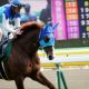 JRA・NHKマイルC「令和サイン」新天皇陛下の「競馬伝説」と「心惹きつける大喝采」で一撃?