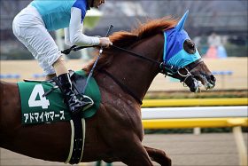 JRAデムーロ「絶望？」アドマイヤマーズ日本ダービー「回避」ほぼ確定でサートゥルナーリアに戻りたい!?