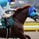 JRAホープフルS(G1)「レベル」に疑問の声!? アドマイヤジャスタ敗退で「クラシック本命」サートゥルナーリアの信頼度……