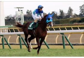 JRA NHKマイルC（G1）過去24回の“黒”歴史!?  3歳マイル王「その後」はイバラの道か……