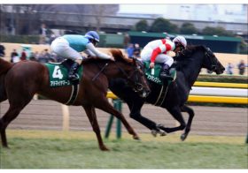 JRA皐月賞（G1）戸崎圭太「成長力」に不満!?「上積みない」ダノンキングリーに「大種牡馬ディープインパクト」のジンクス