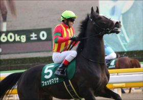 JRAアーリントンC（G3）は「2点」で楽勝？　関係者情報から見出した最強の「3頭」で勝負