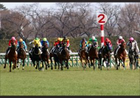 JRA アタマ差辛勝で浮かぶ藤沢師「最後」のダービー馬候補、超良血馬の「最悪事態」回避にファンもひとまず安堵？