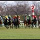 「79連敗」脱出した藤田菜七子騎手が約2ヶ月ぶりの白星! アイビスSD(G3)で千直女王がコンビを組む可能性のある「穴馬候補」とは!?