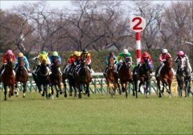 ジャスタウェイ最大の期待馬登場！フィリーズレビューにアウィルアウェイ出陣