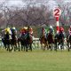 JRA「2歳女王」レシステンシアも危ない!? 「絶不調」騎手に「青天霹靂」アウィルアウェイ新コンビで高松宮記念(G1)へ!