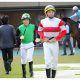 JRA「悲願」シゲルピンクダイヤがローズS(G2)で躍動!? 距離短縮よりいいのが……