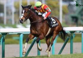 JRAマーメイドS（G3）圧倒的「東西情報」で勝つ！ 美浦からはあの「善戦ウーマン」詳報