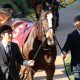 JRA「新種牡馬キズナ」いきなり最高額! 暴れん坊ゴールドシップ「期待馬」には総帥もご満悦?