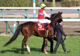 武豊ディアドラ「英G1挑戦」ポスト・エネイブルら世界の強豪が集う一戦で復活も？