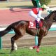 JRA新馬「ショウナンパンドラ弟」に良血が襲い掛かる! 父ディープインパクトに捧げる新馬たちの激走一挙紹介