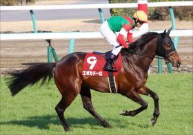 JRA大阪杯（G1）エポカドーロ「引退」不安も……ウオッカ引退の「鼻出血」で香港遠征も白紙