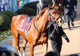 JRA中山記念（G2）軸はラッキーライラックで鉄板？ 関係者情報から探り出した「超穴馬」2頭で高配当を狙う！
