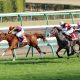 JRA有馬記念(G1)「意外な」豪華メンバーに一安心!? フィエールマンVSクロノジェネシスにラッキーライラック参戦、3歳バビットら「未完の大器」が続々……