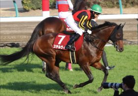 JRA大阪杯（G1）ステルヴィオ「本当の適正距離」とは。丸山元気リベンジに期待度は……