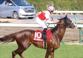 JRAスワーヴリチャード超えの「大マクリ」で圧勝！ 1年ぶりレースを制したゲバラの鞍上はまたも「アノ騎手」