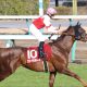 JRA【中山記念(G2)展望】「超豪華」G1馬5頭に横山典弘ダノンキングリーが挑む