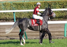 JRA「覚醒」ウインブライト宝塚記念（G1）出走濃厚な「理由」をキャッチ！ 「打倒ノーザン筆頭」で期待値上昇中