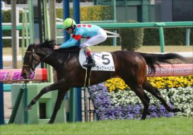 JRAフローラS（G2）は「2点」で大儲け？ 混戦必至重賞を関係者情報で読み解く！