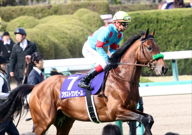 【札幌記念（G2）展望】JRA「史上最強」の夏決戦！ フィエールマンVSワグネリアン、そしてアノ馬は？の画像3