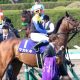 JRA宝塚記念「オジュウチョウサン回避」理由は……中山GJの疲労、石神騎手コンビに期待あったが……
