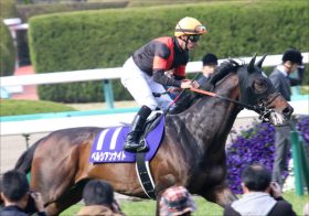 JRA安田記念（G1）「旧マイル王」ペルシアンナイト「府中苦手」認識は違う？ 過去最高のデキ