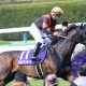 JRA栗東「安田記念直前情報」ダノンプレミアムより気になるあの「G1馬」情報で馬券攻略?