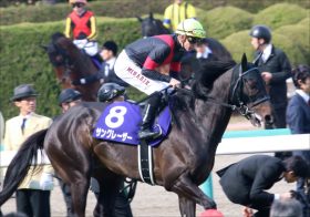 JRA安田記念（G1）「買い要素多数」サングレーザーここは狙い目！ 「ディープインパクトの底力」がG1席巻中