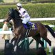 【JRA平成牝馬格付】1位は!? アーモンドアイ・ジェンティルドンナ・ウオッカ・エアグルーヴ・ブエナビスタ~