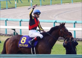 JRA「大物感」グランアレグリア弟・ブルトガング今週デビュー！ C.ルメール騎手「2000m以上も……」来年のクラシック見据える