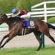 JRAリアアメリア「匹敵する馬出てこない」関係者一同お手上げの強さ。単なる「矯正中」で楽々勝利の戦慄