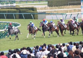 JRA「注目新馬」重鎮キングカメハメハ産駒の大物登場！ 3場開催で熱戦展開
