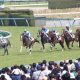 JRA「大物感」グランアレグリア弟・ブルトガング今週デビュー! C.ルメール騎手「2000m以上も……」来年のクラシック見据える